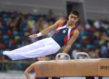 Kişi idman gimnastikası üzrə 22-ci Bakı Çempionatı və Birinciliyi. Bakı, Azərbaycan, 02 oktyabr 2015